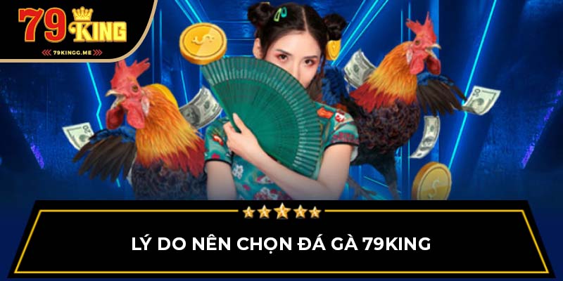 Lý do nên chọn đá gà 79King